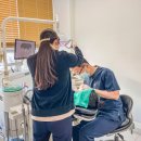 하얀나무치과의원 이미지