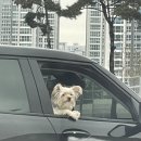 페어뉴스