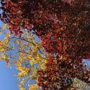 군포시청(별관) | 군포 아기랑 갈만한 곳 “그림책꿈마루”