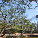 2024-03-0195 | 종묘] 종묘 [한국어]시간제관람예약 2024-03-13 신청인원3관람후기/종로구추천/신주모시는곳/궁능유적...