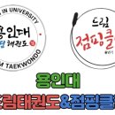 드림 태권도 이미지