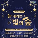 빛의 숲 네이버블로그
