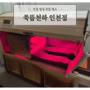 뜸 | [후기] 쑥뜸천하 인천점 : 인천 만수동 힐링 전신돔뜸 후기