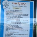 계양유치원 | 인천 계양구 무료 수영장이 있는 애견카페 발라당 후기