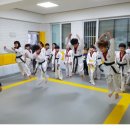 국가대표 모아 태권도장 이미지