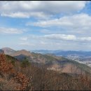 상록수 Daum카페