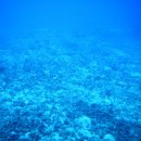 깊은바다 이미지