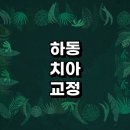 하동군 치아교정 잘하는 전문치과 병원 추천 | 비용 후기 설측교정 돌출입 앞니 투명 무턱 부분 교정기...