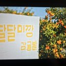 세화산장민박 | 환승연애3 18화 지목데이트, 진실게임, X데이트 속 식당, 카페, 데이트 장소 모음집