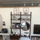 이쁘냥 고양이미용실 대전점 | [대전 고양이미용] 이쁘냥고양이미용실 대전점 – 고양이도 안심하는 프라이빗 미용 공간