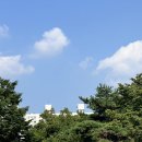 여주-0731 | [240728 - 0803] ??: 제발 쉬어 이 미친놈아