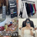 2812 | 부산 웨딩컨설팅 광안리 퍼스널컬러 무드컬렉트 화이트 광안점 후기