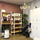 몽클똥개 | 포항 애견미용, 비숑 하이바 가위컷 전문 양덕 몽클똥개