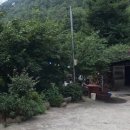 천지흑염소가든 이미지