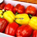 운봉농협 APC 이미지