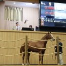 삼관목장 이미지