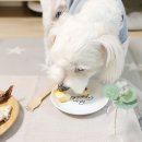 멍이와 냥이의 부엌 이미지