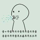 선 동물병원 이미지