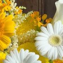 수원-1738 이미지