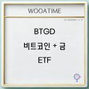 BTGD 비트코인 + 금 ETF 실시간 주가 배당금 장점 단점 전망 이미지