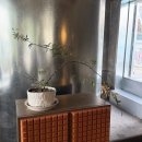 솔솔하우스 이미지