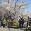 양재천 수변무대5 이미지