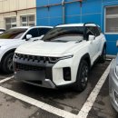 고양이 팔경 캣스쿨 | ✨2025년 12월 13일- 12월 31일 몰아쓰는 일상 기록✨