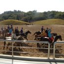 제주도똥돼지