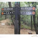 안골길 14 이미지