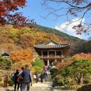 영주 부석사(浮石寺)의 가을 이미지