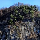 달천제방길 이미지