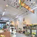 우화FlowerDesign 이미지