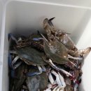 둘레길펜션 이미지