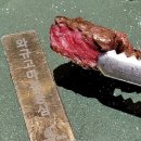명일역 맛집 소고기 전문점 / 무조건 맛있는 소고기 / 등심 넘버나인 추천후기
