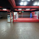 투혼복싱 이미지