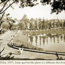 달랏(DA LAT) 이미지