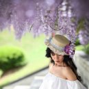 합도초등학교 이미지