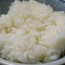 밥엘
