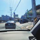 포항 영덕 대신 대구 매천 수산 시장 방문 후기: 대게 시세, 대게 싯가