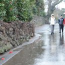 하가리집 이미지