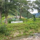 안동농원 이미지