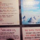 구공탄곱창 이미지