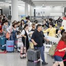 대만인들 '부산병' 알이... 외국인 재방문 성지 급부상 이미지