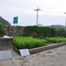 차우리다 이미지