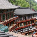 야단법석 이미지