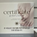 가벨라뷰티 이미지