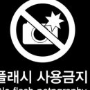 사인플래시