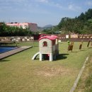 진도어린이집,삐아제어린이집 이미지