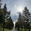 빛여울 | 유튜버 ㅎㅅㅋ 산책코스 손민수한 동탄여울공원 후기