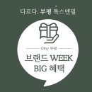 필데이 이미지